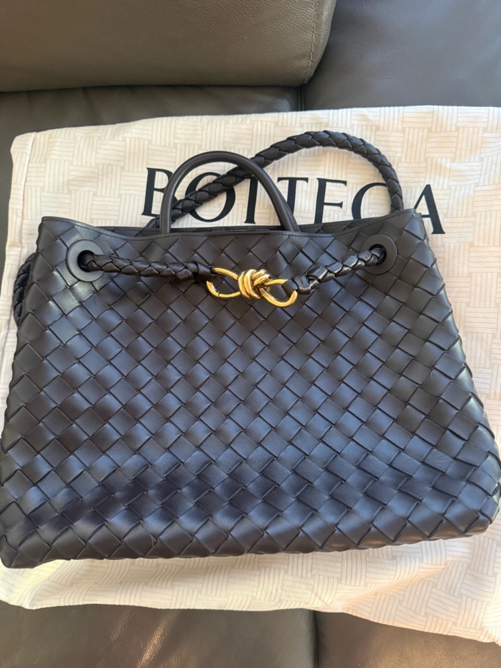 Bottega Veneta Andiamo Bag - Medium in Fondant